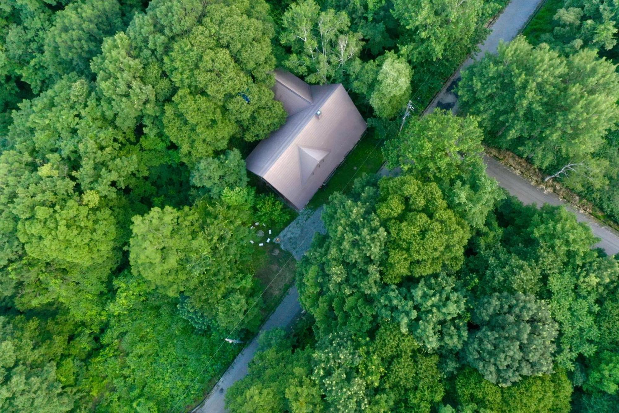Woody Island Villa Hakuba Eksteriør billede